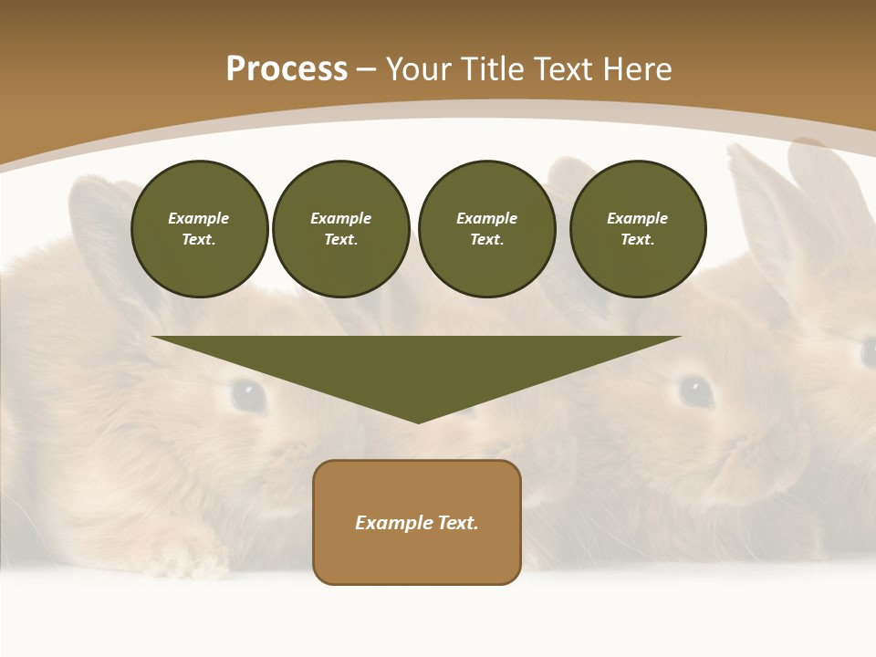 Pet Fur Ear PowerPoint Template