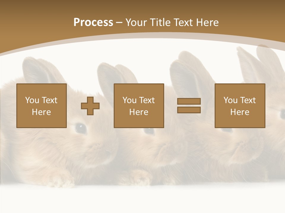 Pet Fur Ear PowerPoint Template