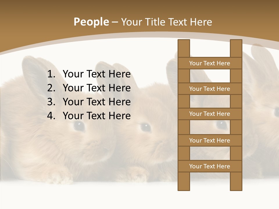 Pet Fur Ear PowerPoint Template