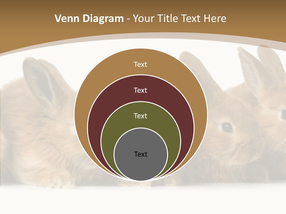 Pet Fur Ear PowerPoint Template