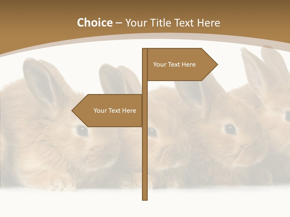 Pet Fur Ear PowerPoint Template