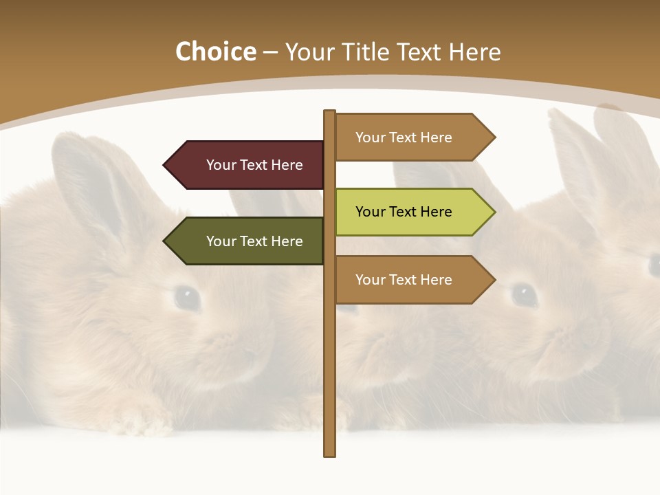 Pet Fur Ear PowerPoint Template