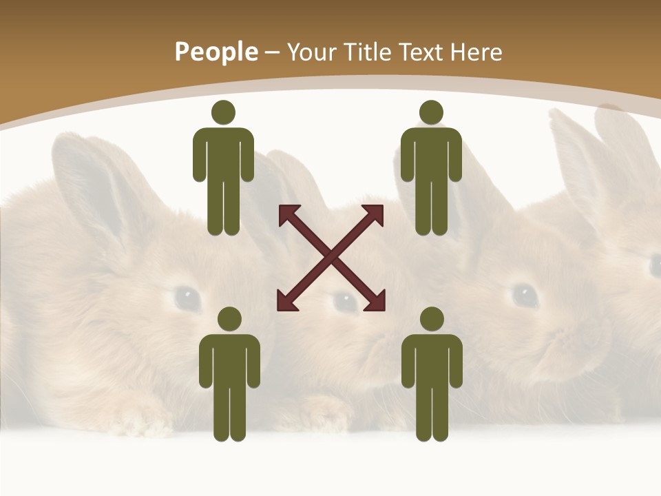 Pet Fur Ear PowerPoint Template