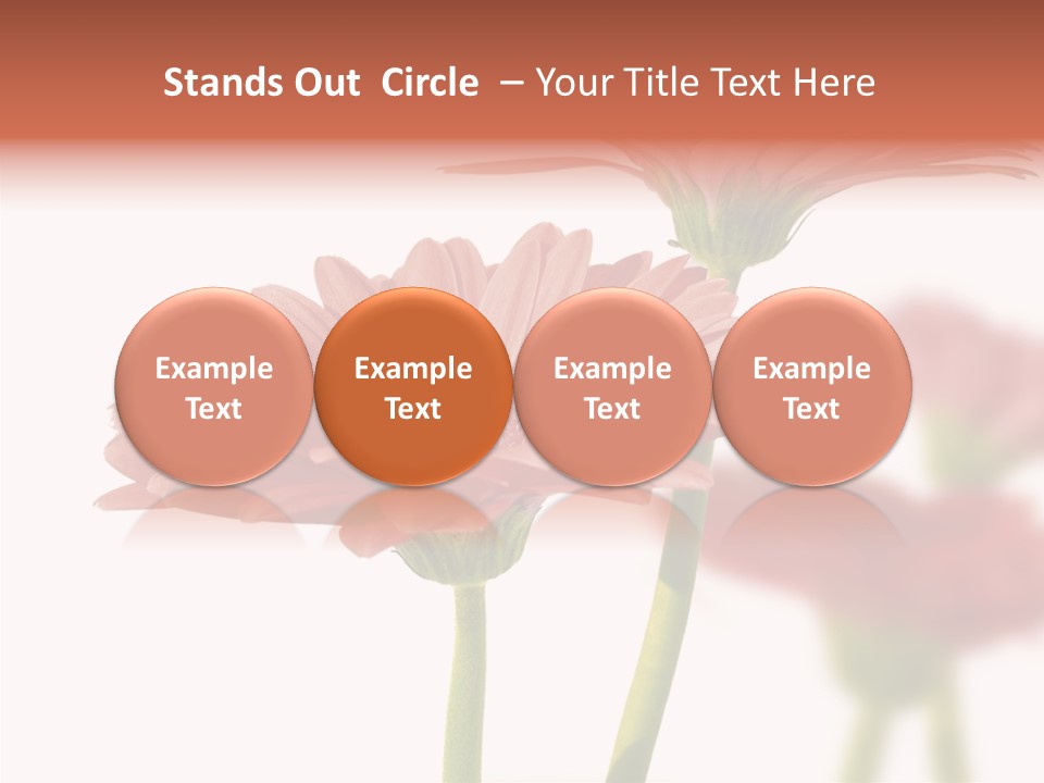 Garden Screensaver Grassland PowerPoint Template