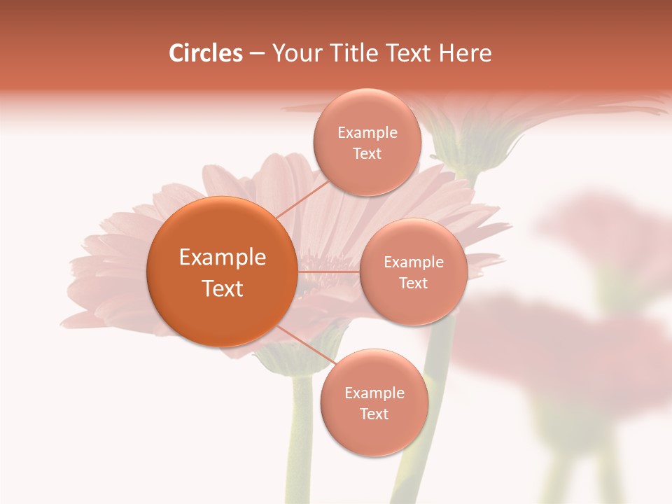 Garden Screensaver Grassland PowerPoint Template