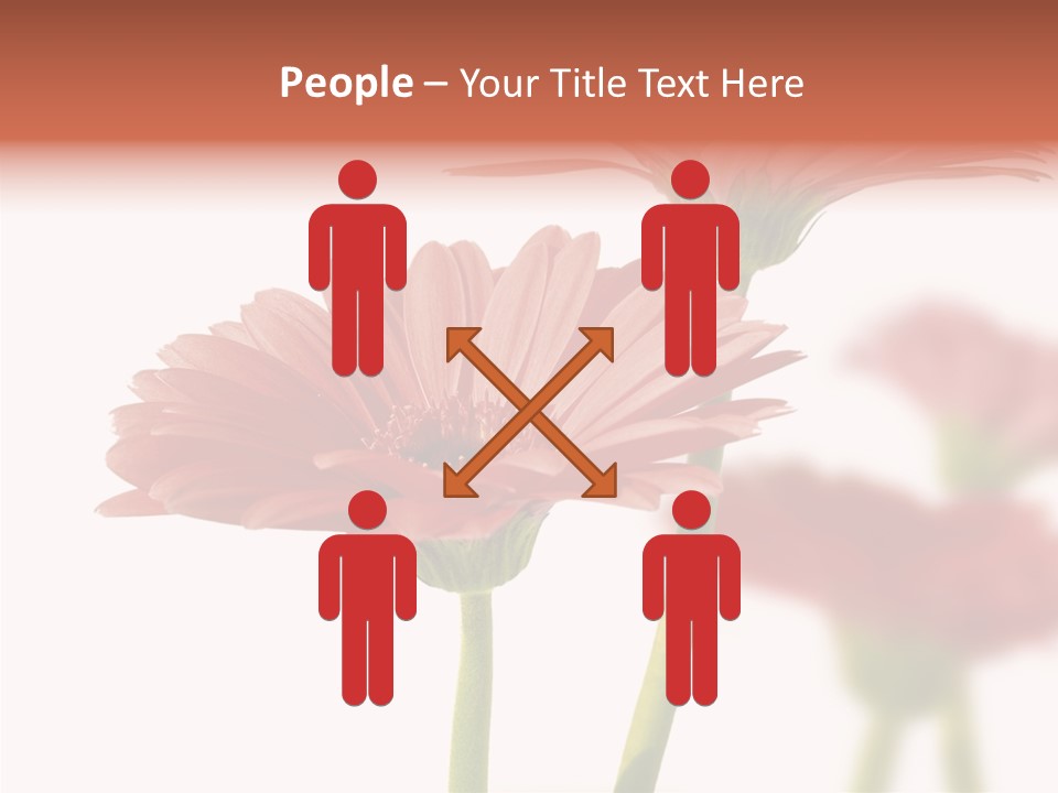 Garden Screensaver Grassland PowerPoint Template