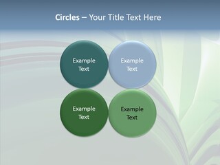 Light Professional Reflection PowerPoint Template