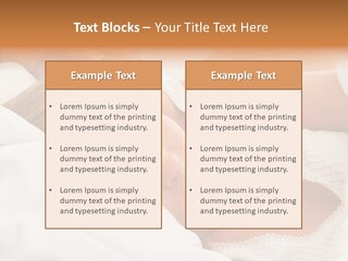 Clean Beauty Sponge PowerPoint Template