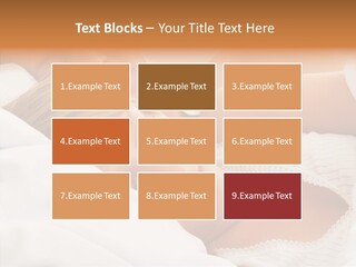 Clean Beauty Sponge PowerPoint Template