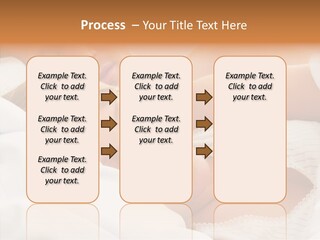 Clean Beauty Sponge PowerPoint Template