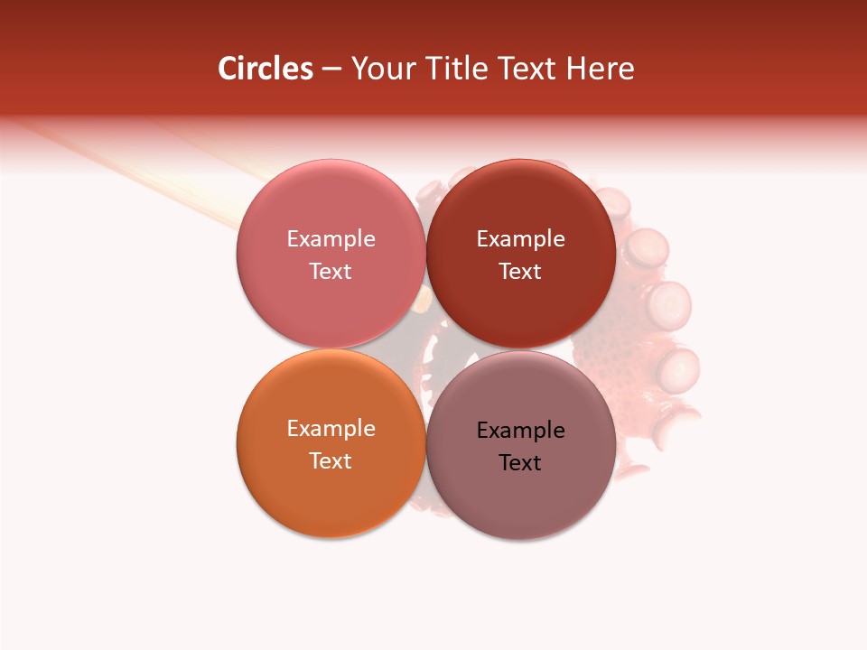 Eat Tako Appetizer PowerPoint Template