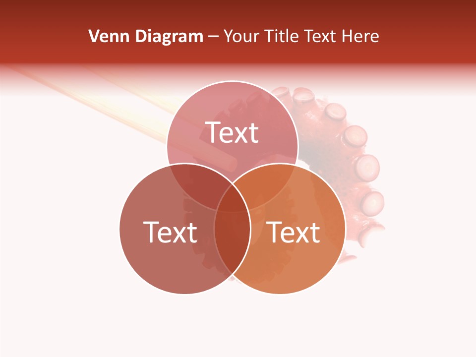 Eat Tako Appetizer PowerPoint Template