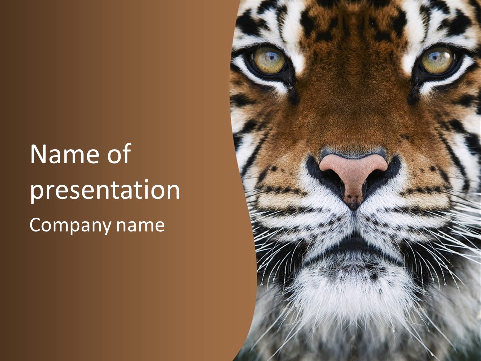 Safari Black Feline PowerPoint Template