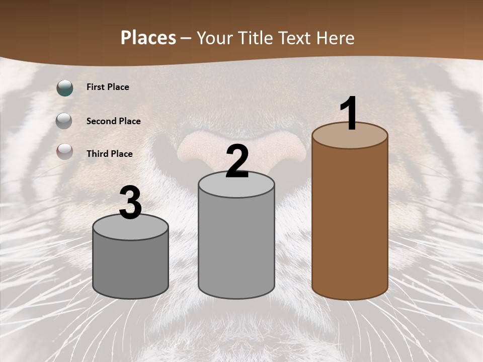 Safari Black Feline PowerPoint Template