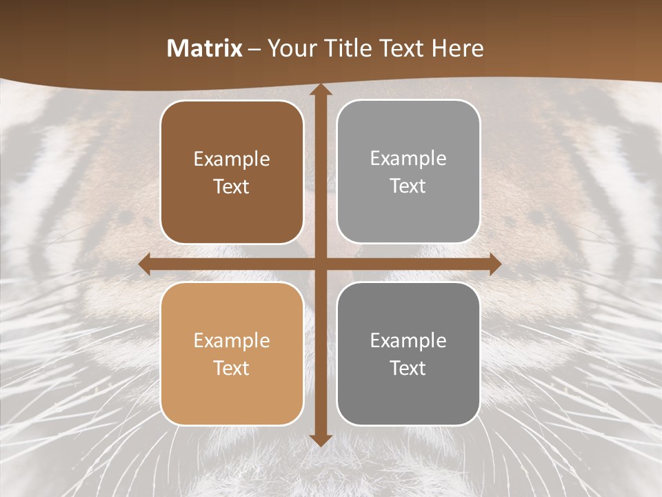 Safari Black Feline PowerPoint Template