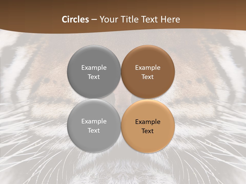 Safari Black Feline PowerPoint Template