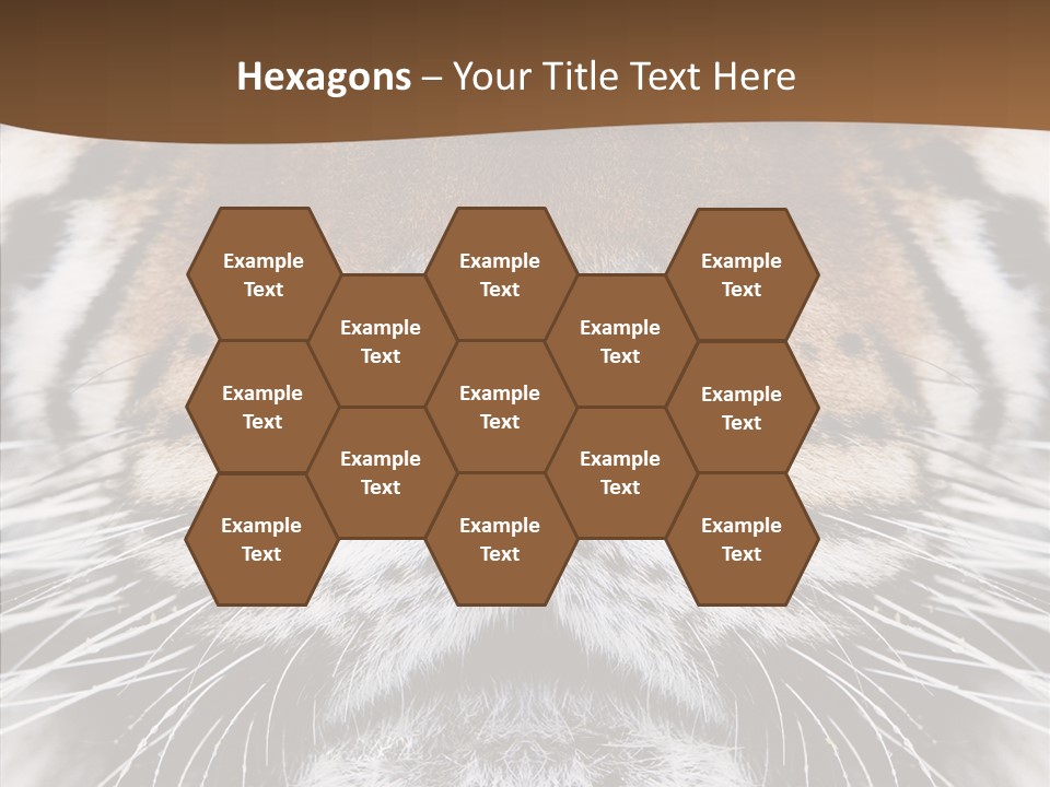 Safari Black Feline PowerPoint Template