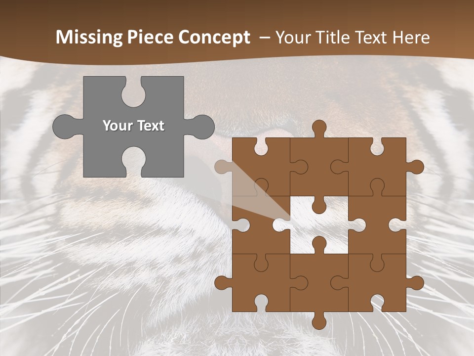 Safari Black Feline PowerPoint Template