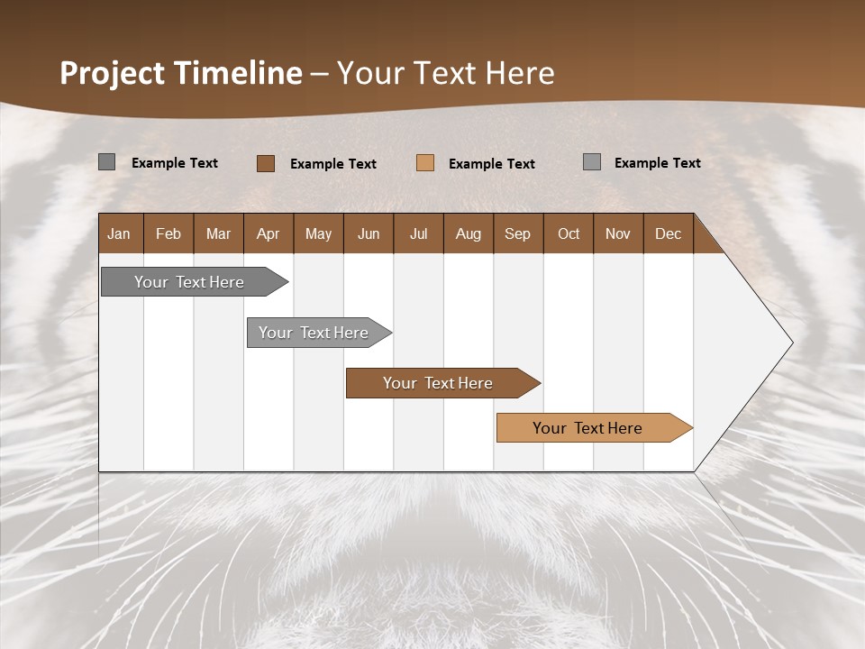 Safari Black Feline PowerPoint Template