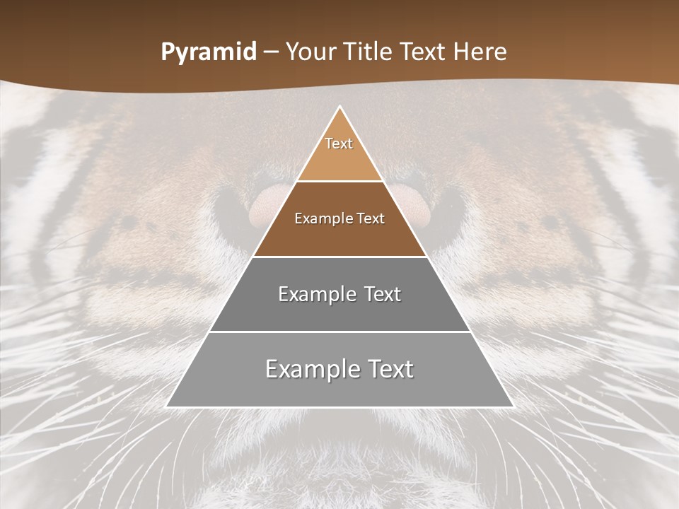 Safari Black Feline PowerPoint Template