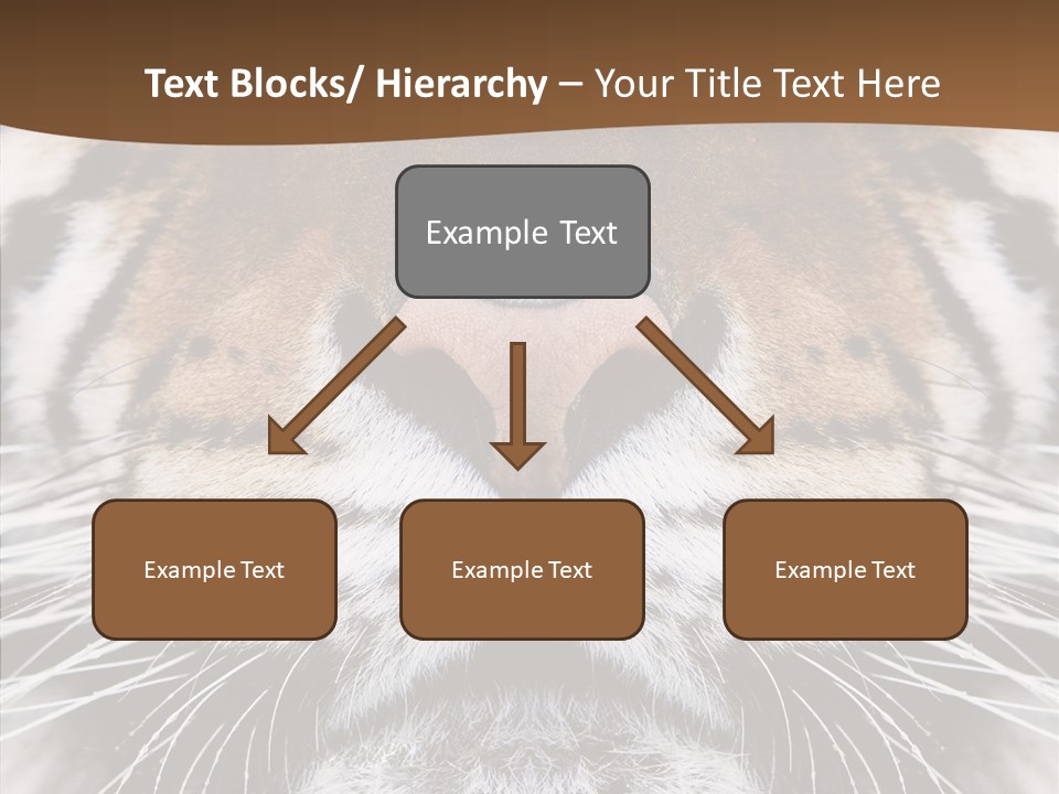 Safari Black Feline PowerPoint Template