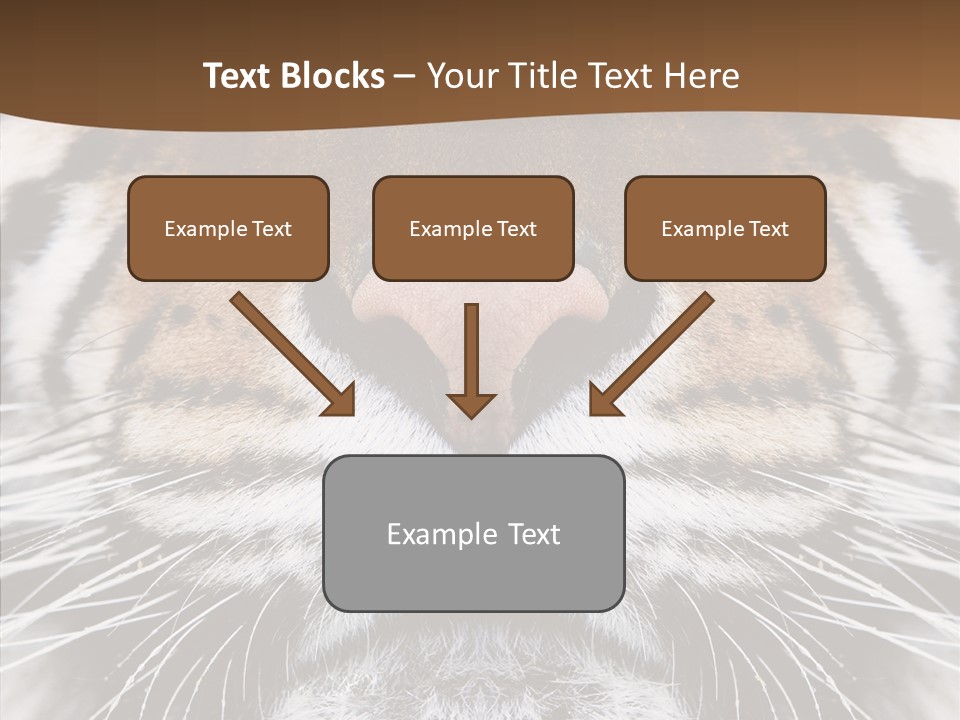 Safari Black Feline PowerPoint Template