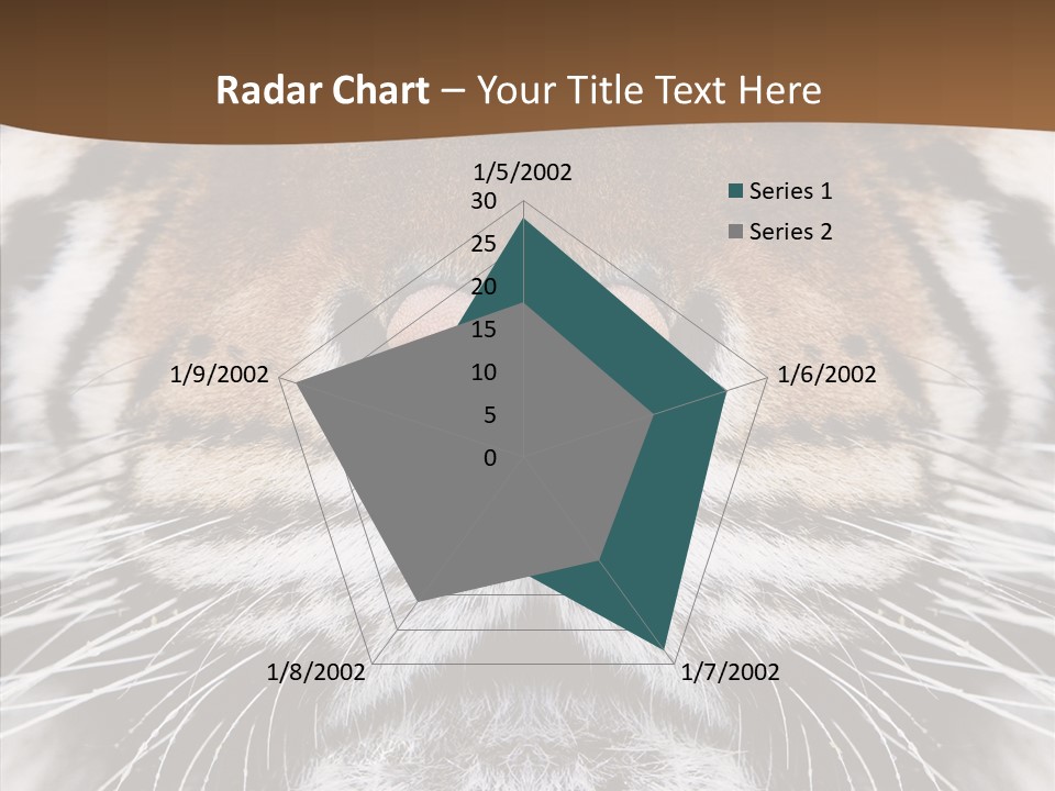 Safari Black Feline PowerPoint Template