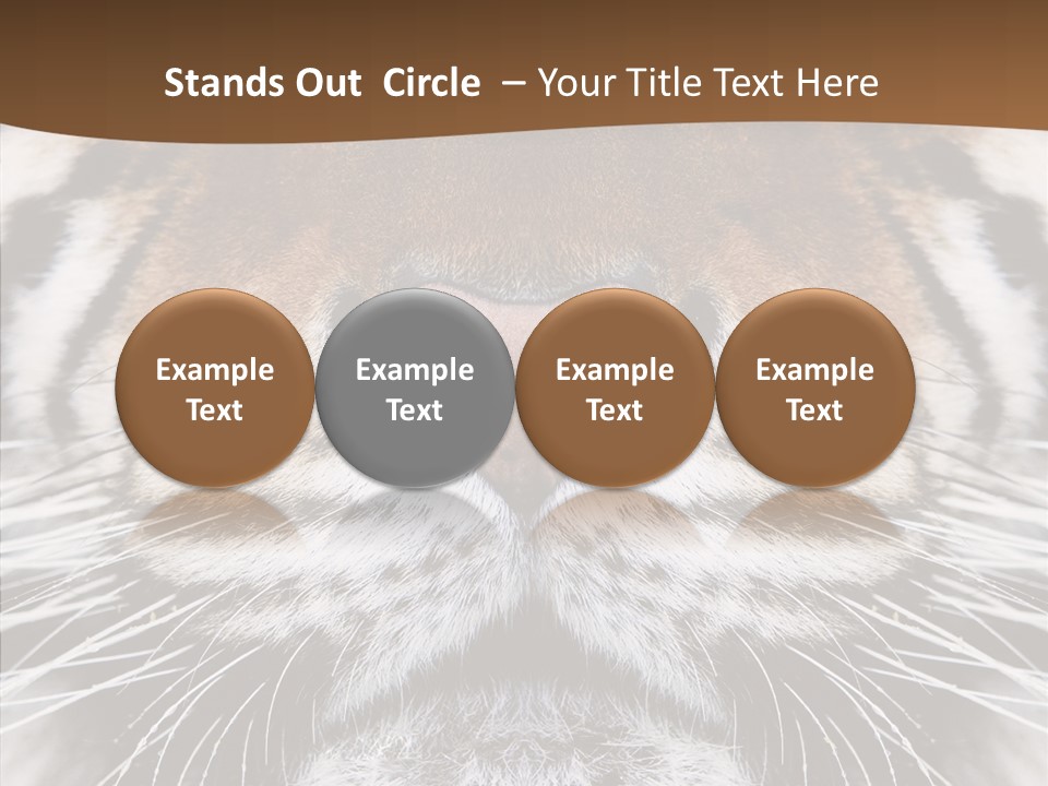 Safari Black Feline PowerPoint Template