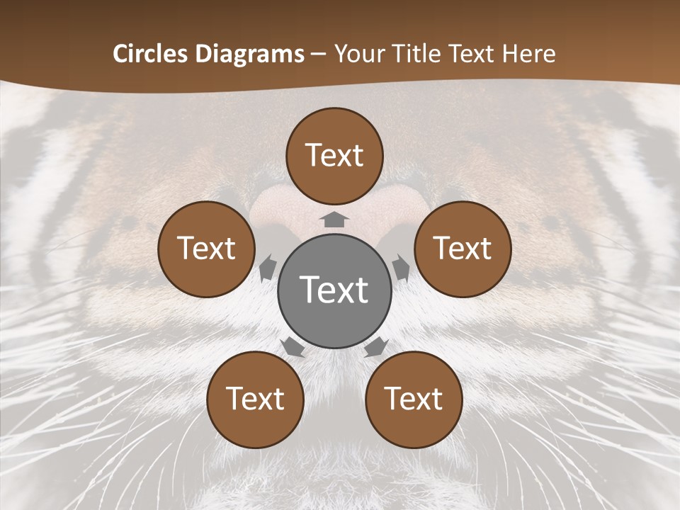 Safari Black Feline PowerPoint Template