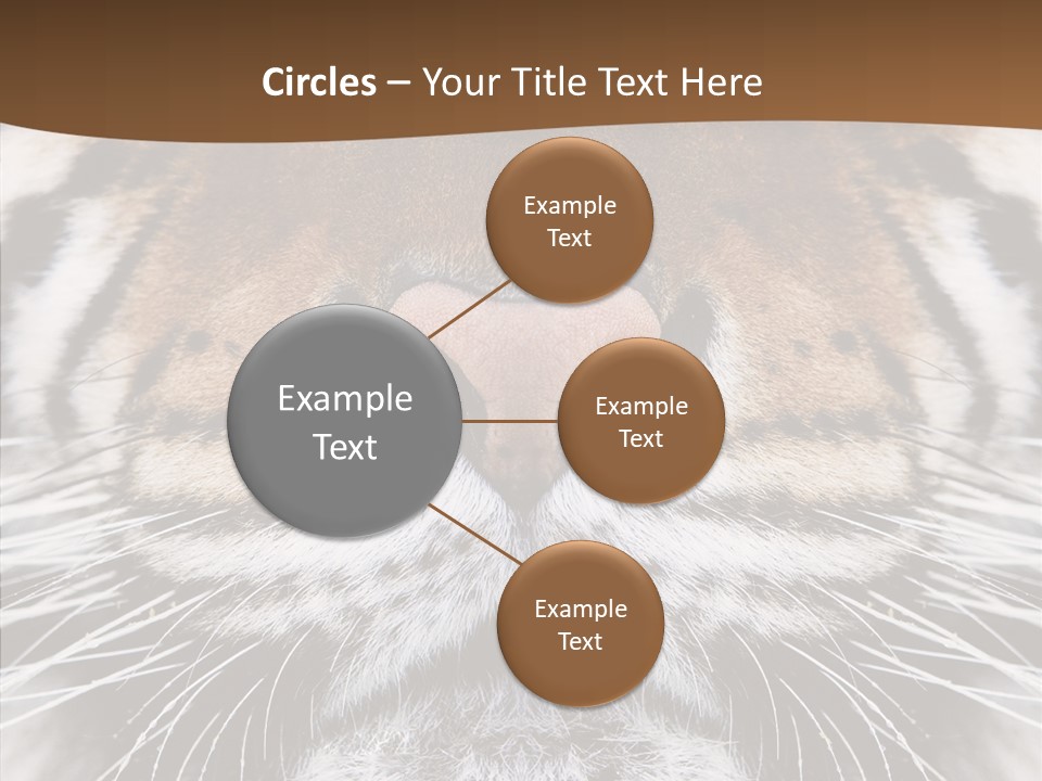 Safari Black Feline PowerPoint Template