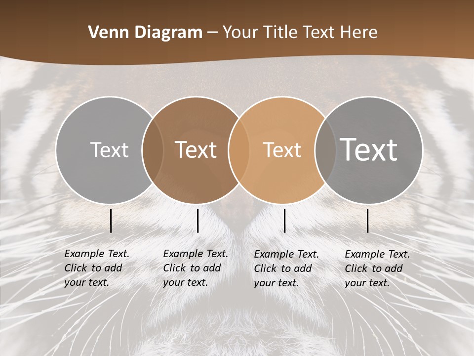 Safari Black Feline PowerPoint Template