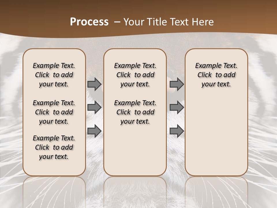 Safari Black Feline PowerPoint Template