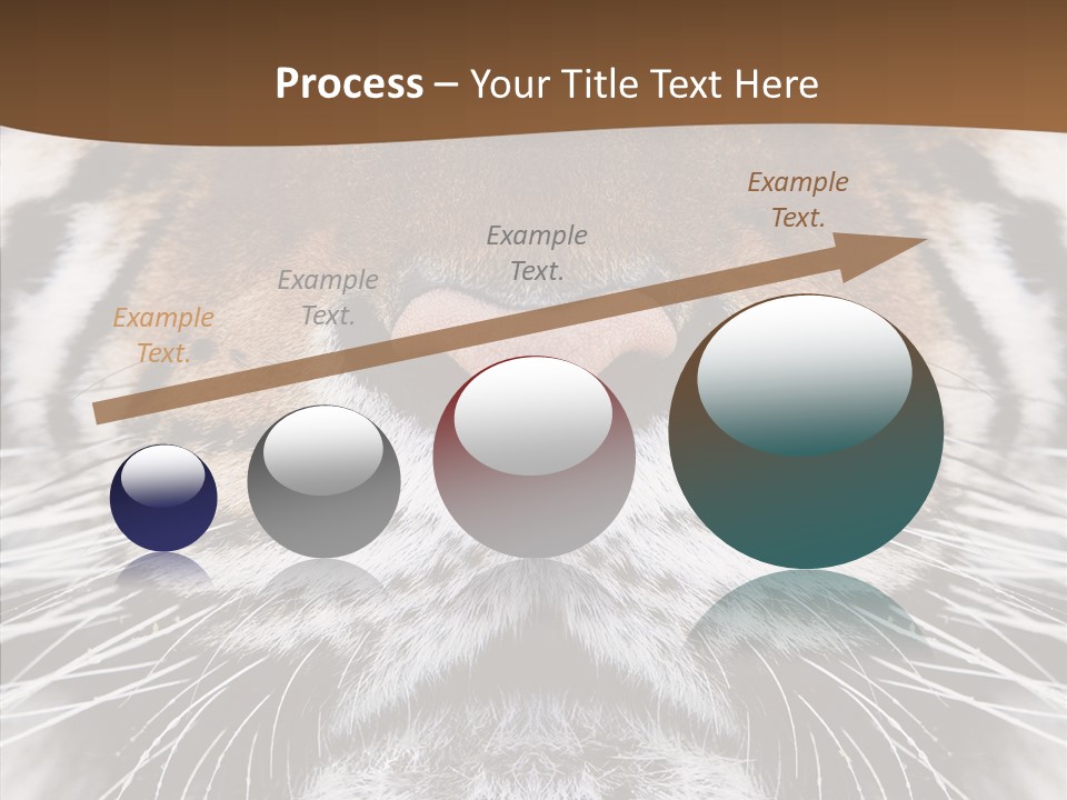 Safari Black Feline PowerPoint Template