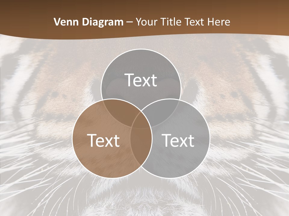 Safari Black Feline PowerPoint Template