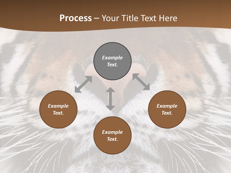 Safari Black Feline PowerPoint Template