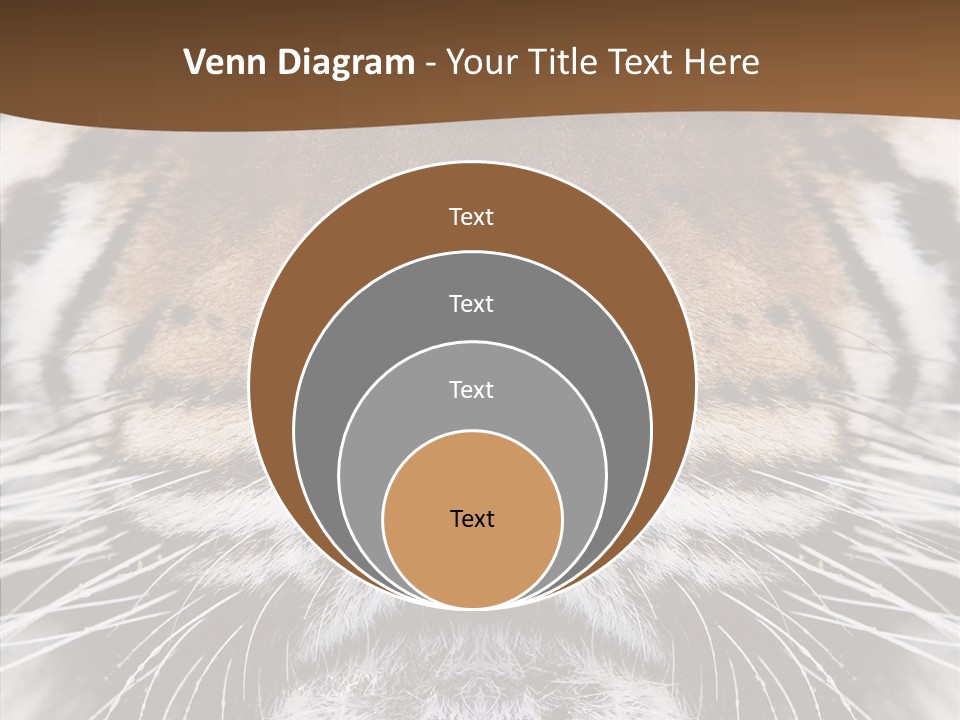 Safari Black Feline PowerPoint Template