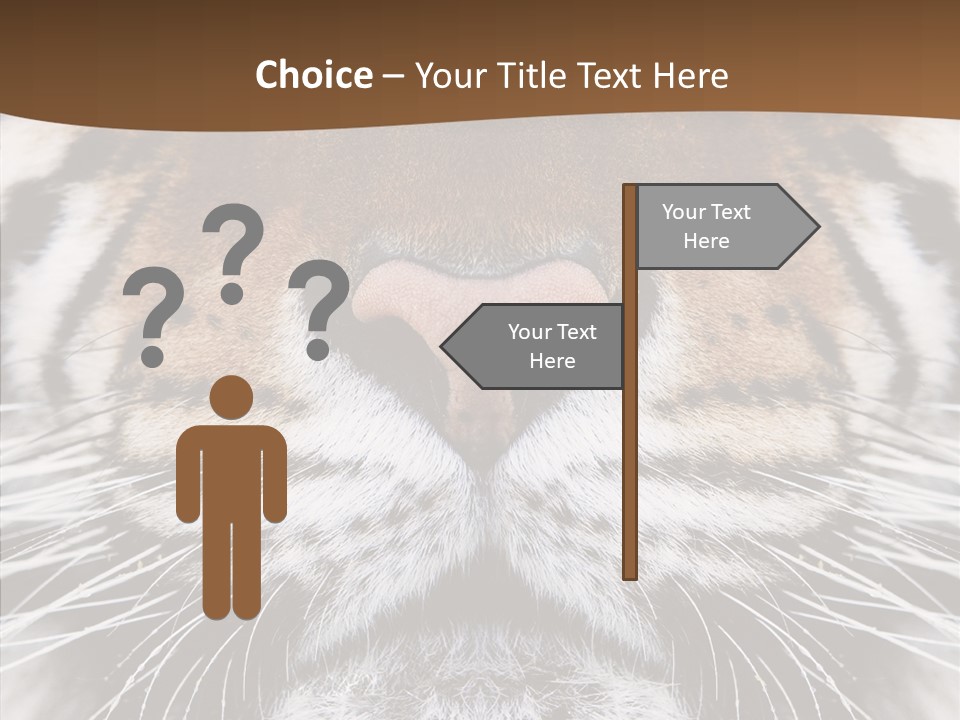 Safari Black Feline PowerPoint Template