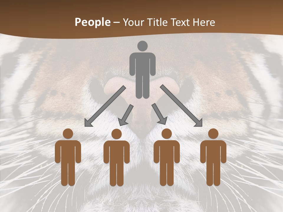 Safari Black Feline PowerPoint Template