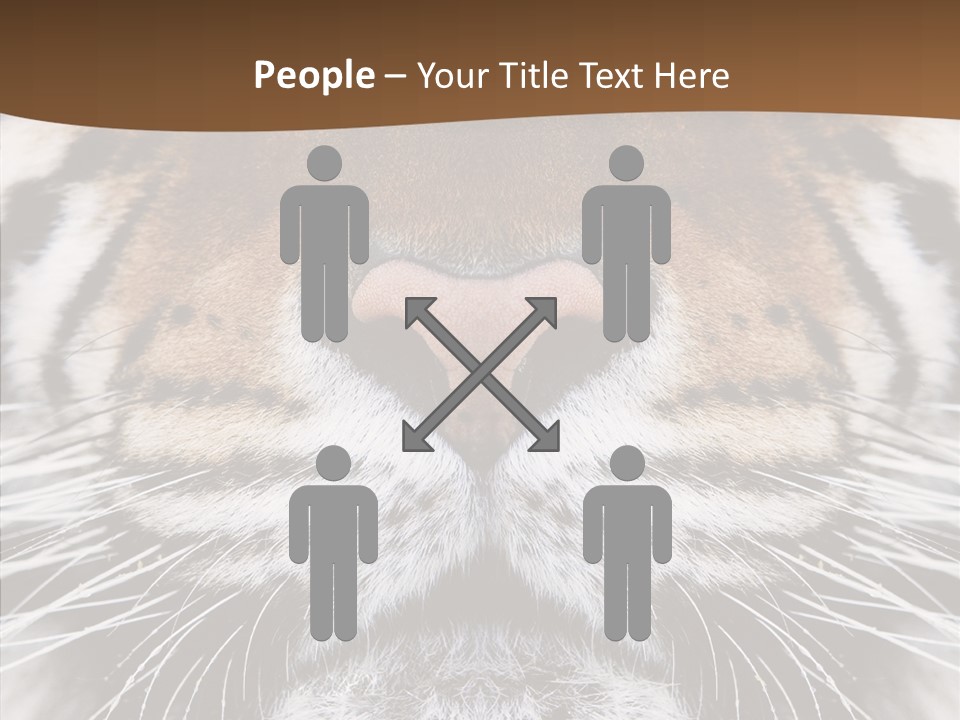 Safari Black Feline PowerPoint Template