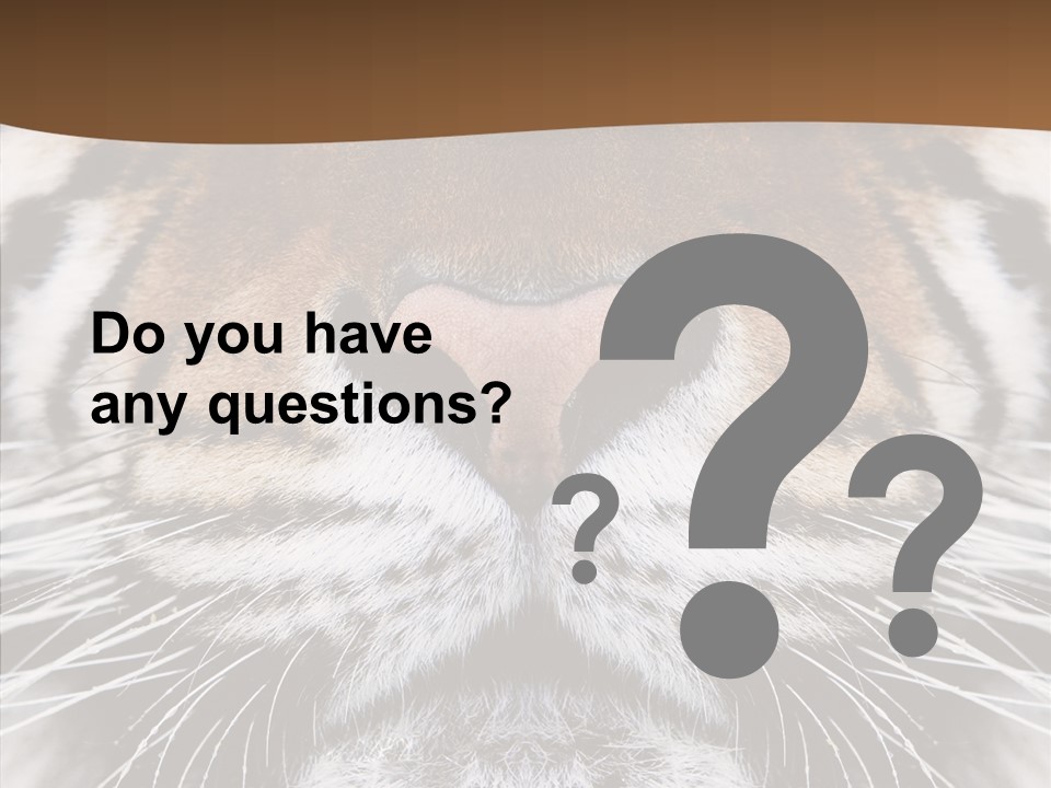 Safari Black Feline PowerPoint Template