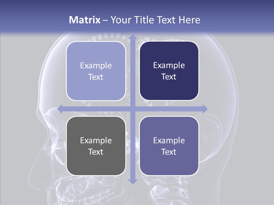 Reflect Bone Knowledge PowerPoint Template