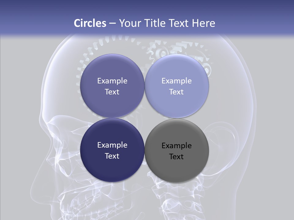 Reflect Bone Knowledge PowerPoint Template