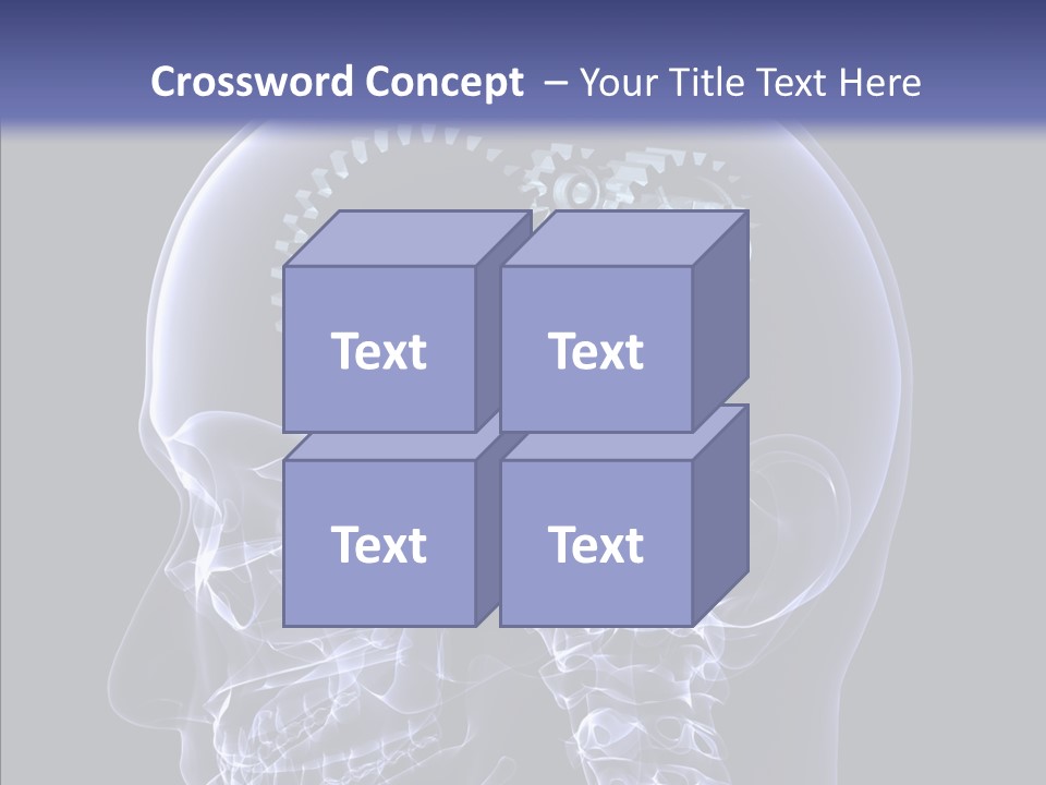 Reflect Bone Knowledge PowerPoint Template