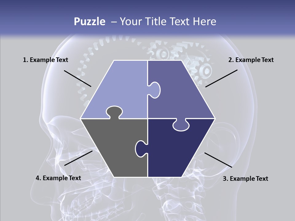 Reflect Bone Knowledge PowerPoint Template