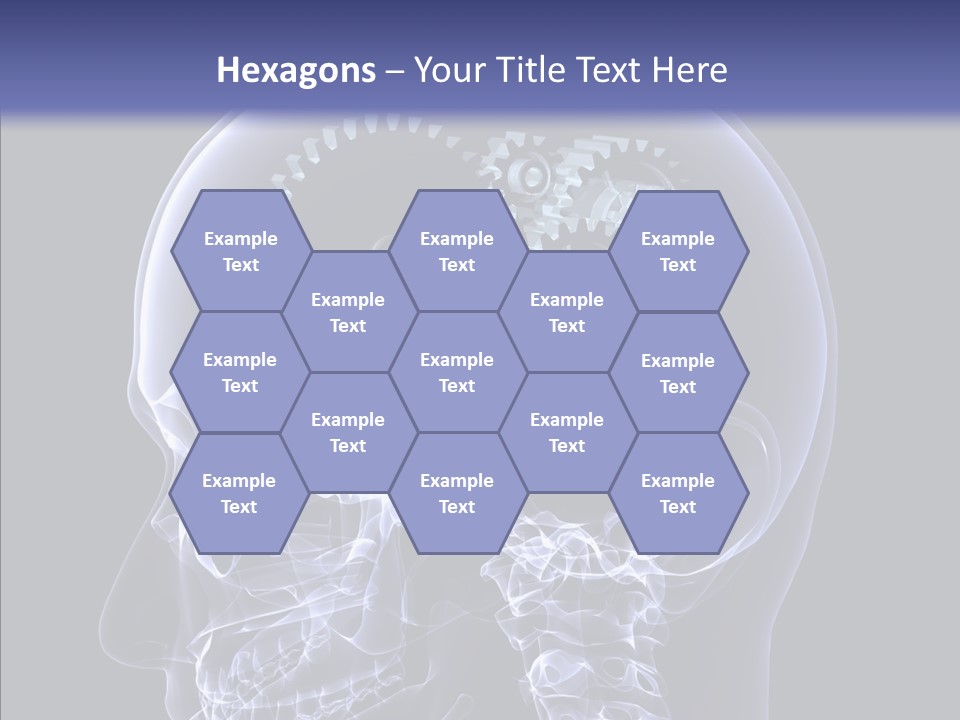 Reflect Bone Knowledge PowerPoint Template