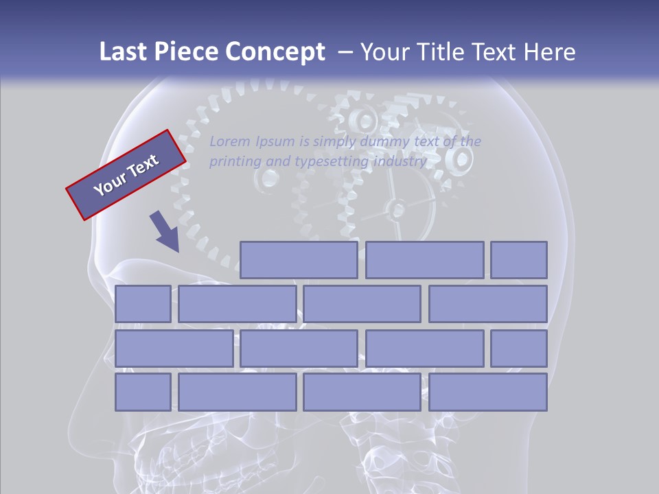 Reflect Bone Knowledge PowerPoint Template