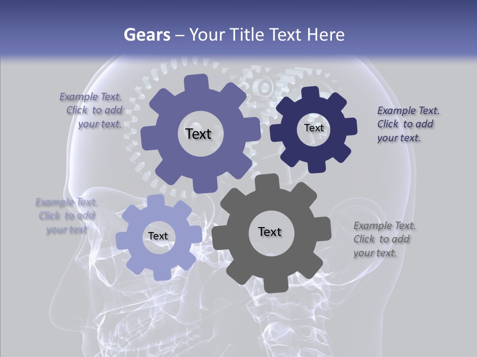 Reflect Bone Knowledge PowerPoint Template