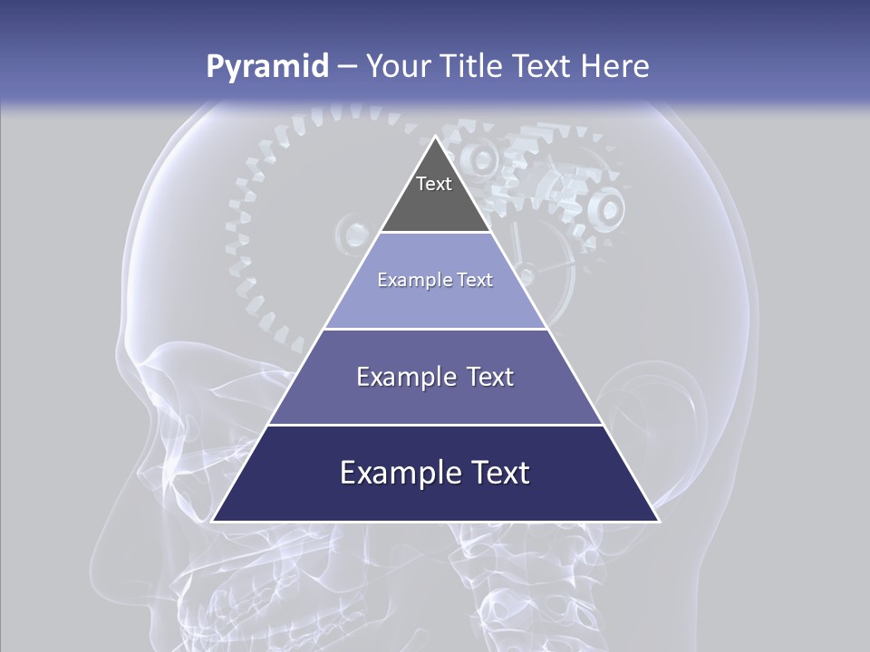 Reflect Bone Knowledge PowerPoint Template