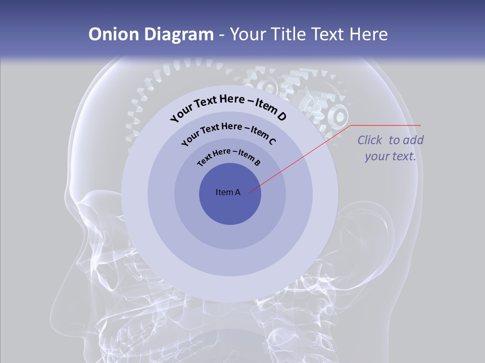 Reflect Bone Knowledge PowerPoint Template