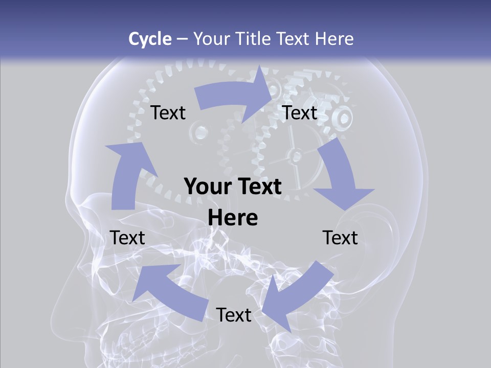 Reflect Bone Knowledge PowerPoint Template
